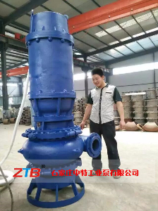 ZJQ200-15-22Ǳˮ