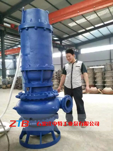 ZJQǱˮɳ