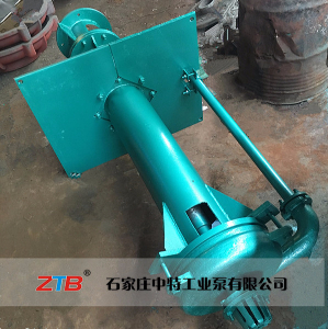 ZJL߸Ͻʽ