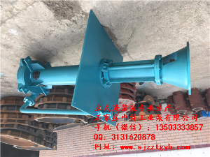 100ZJL-31޶ʽ