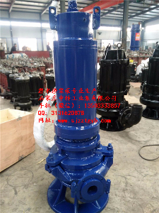 150ZJQ200-55Ǳˮ